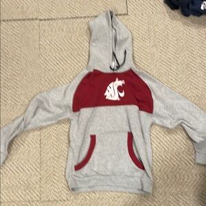 Champion Gray Hoodie with Washington State Logo